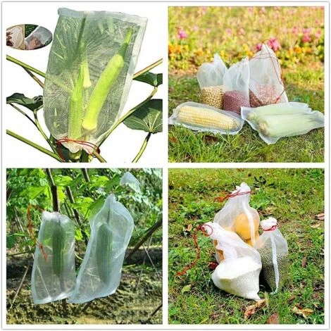 Lot De 50 Sacs En Filet Anti-Insectes, Filet De Jardin Protection En Nylon, Sac Protection Fruits Et Plantes Réutilisables, Sachet Pour Raisin Anti-Oiseaux Avec Cordon De Serrage (25 X 15cm (50pcs)) 7 Lot De 50 Sacs En Filet Anti-Insectes, Filet De Jardin Protection En Nylon, Sac Protection Fruits Et Plantes Réutilisables, Sachet Pour Raisin Anti-Oiseaux Avec Cordon De Serrage (25 X 15cm (50pcs)) – Image 5