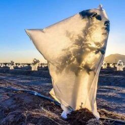 Voile Dhivernage　Housse D'hivernage Pour Plante Housse De Protection Arbre Hiver Non Tissée Avec Cordon De Serrage 100x120cm Blanc -Jardin Doux Soldes Magasin 96338525 4