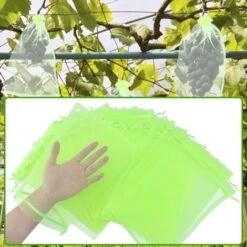 100 Pièces 20x30cm Sac Protection Raisin Sac De Protection Fruits Verts Avec Cordon Sac Organza Sac En Filet Transparent Empêcher Guêpes Drosophile Insectes Oiseaux 9 100 Pièces 20x30cm Sac Protection Raisin Sac De Protection Fruits Verts Avec Cordon Sac Organza Sac En Filet Transparent Empêcher Guêpes Drosophile Insectes Oiseaux -Jardin Doux Soldes Magasin 98653080 3