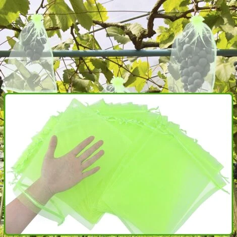 100 Pièces 20x30cm Sac Protection Raisin Sac De Protection Fruits Verts Avec Cordon Sac Organza Sac En Filet Transparent Empêcher Guêpes Drosophile Insectes Oiseaux 5 100 Pièces 20x30cm Sac Protection Raisin Sac De Protection Fruits Verts Avec Cordon Sac Organza Sac En Filet Transparent Empêcher Guêpes Drosophile Insectes Oiseaux – Image 3