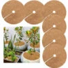 Tapis Coco Plante, Disque De Paillage Coco, Protection D'hiver Pour Plantes En Pot, Protéger Les Racines Des Plantes En Pot Du Gel 30cm 6Pcs -Jardin Doux Soldes Magasin 99373665 1